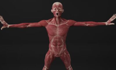 CrazyDad3D