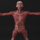 CrazyDad3D
