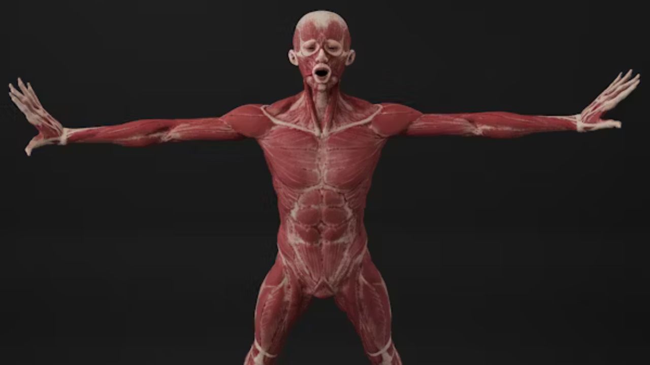 CrazyDad3D