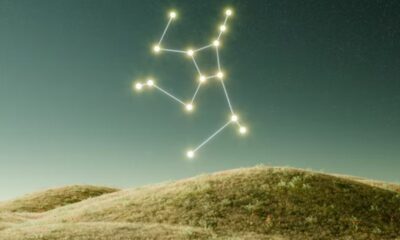Starhoonga