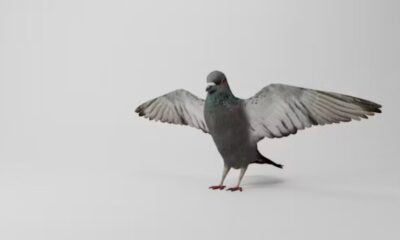 Wincompanion