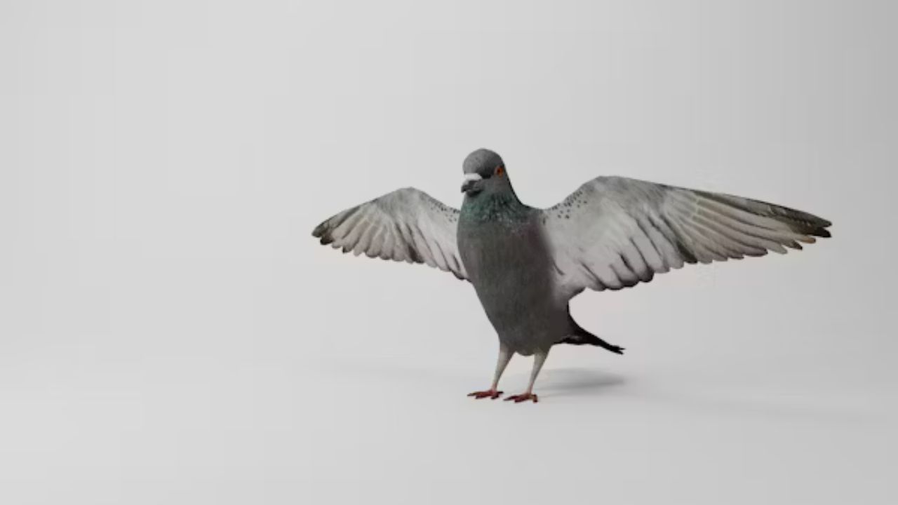Wincompanion