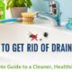 How to Get Rid of Drain Flies: A Complete Guide to a Cleaner, Healthier Home