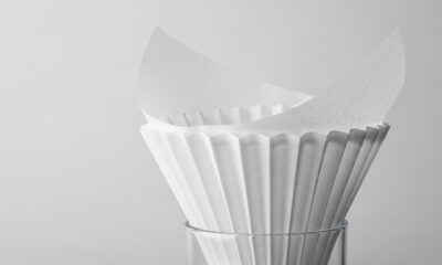 appearance of filter paper