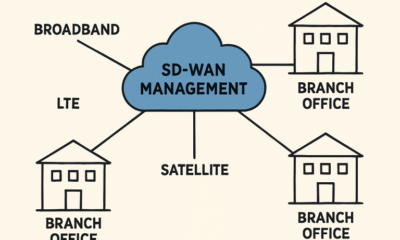 Practical Applications of SD-WAN in Modern Enterprise Networks