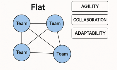 Future-Ready Organization Structures for Dynamic Environments