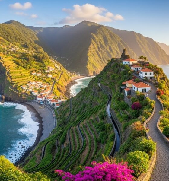 Nikane Madeira: A Hidden Gem in the Heart of Portugal