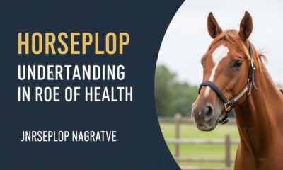 Horseplop