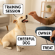 Positive Dog Training Techniques for Every Pet Parent