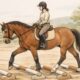 Cavaletti Horse Jumps