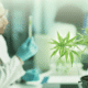 THC vs. CBD for Sleep: Which Cannabinoid is Right for Your Night time Routine?