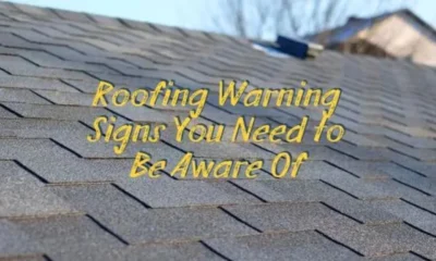 8 Warning Signs Your Roof Needs Immediate Repair